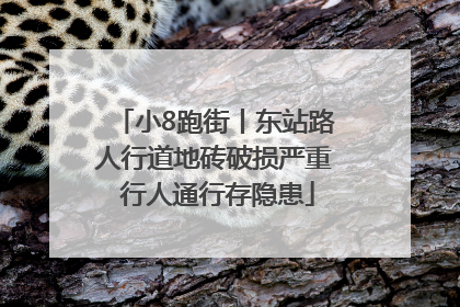 小8跑街丨东站路人行道地砖破损严重 行人通行存隐患