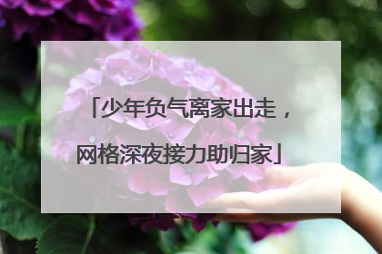 少年负气离家出走，网格深夜接力助归家
