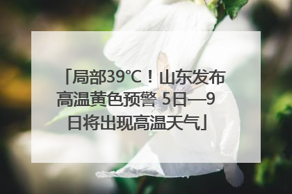 局部39℃！山东发布高温黄色预警 5日—9日将出现高温天气