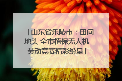 山东省乐陵市：田间地头 全市植保无人机劳动竞赛精彩纷呈
