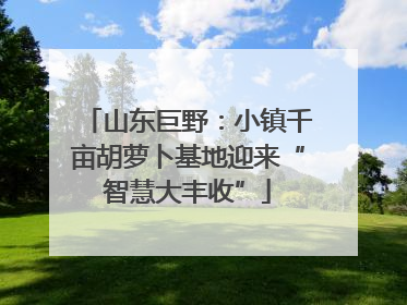 山东巨野：小镇千亩胡萝卜基地迎来“智慧大丰收”