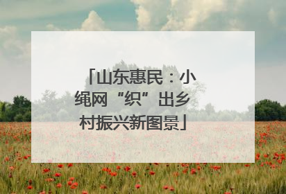 山东惠民：小绳网“织”出乡村振兴新图景