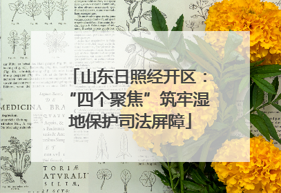 山东日照经开区：“四个聚焦”筑牢湿地保护司法屏障