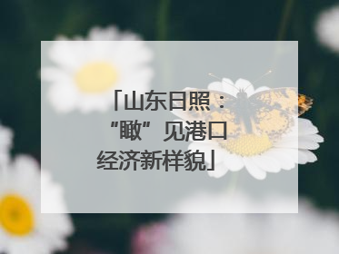 山东日照：“瞰”见港口经济新样貌