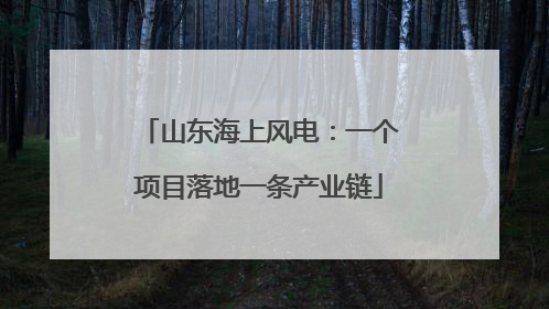 山东海上风电：一个项目落地一条产业链