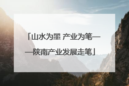 山水为墨 产业为笔——陕南产业发展走笔