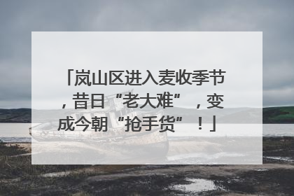 岚山区进入麦收季节，昔日“老大难”，变成今朝“抢手货”！