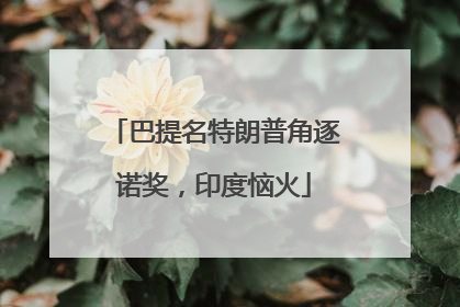 巴提名特朗普角逐诺奖，印度恼火