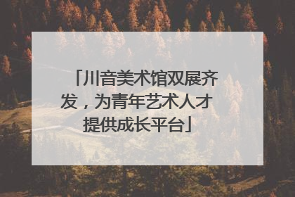 川音美术馆双展齐发，为青年艺术人才提供成长平台