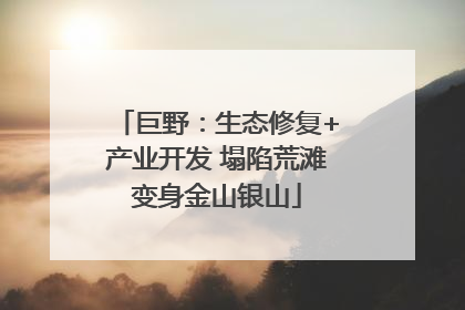 巨野：生态修复+产业开发 塌陷荒滩变身金山银山