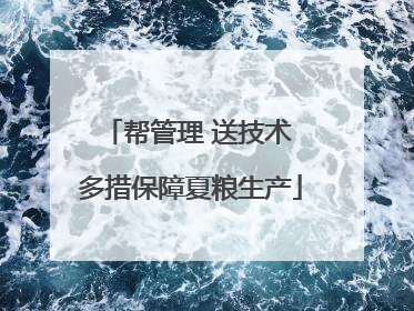帮管理 送技术 多措保障夏粮生产
