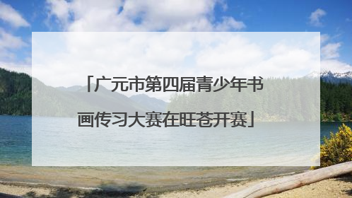 广元市第四届青少年书画传习大赛在旺苍开赛