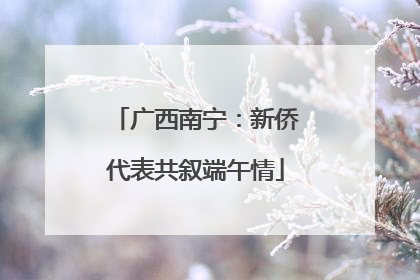 广西南宁：新侨代表共叙端午情