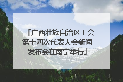 广西壮族自治区工会第十四次代表大会新闻发布会在南宁举行