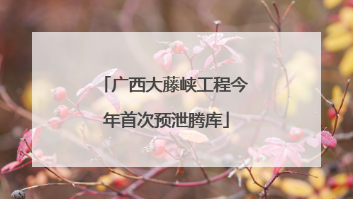 广西大藤峡工程今年首次预泄腾库