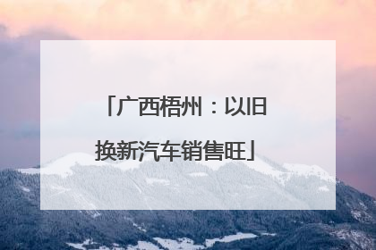 广西梧州：以旧换新汽车销售旺