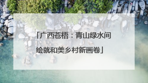 广西苍梧：青山绿水间绘就和美乡村新画卷