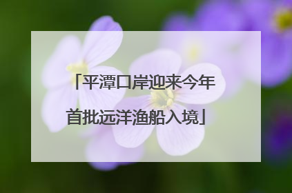 平潭口岸迎来今年首批远洋渔船入境