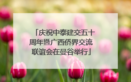 庆祝中泰建交五十周年暨广西侨界交流联谊会在曼谷举行