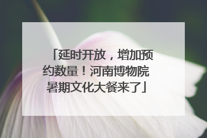 延时开放，增加预约数量！河南博物院暑期文化大餐来了