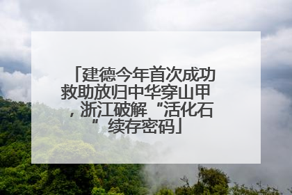 建德今年首次成功救助放归中华穿山甲，浙江破解“活化石”续存密码
