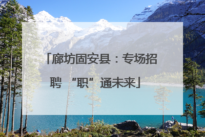 廊坊固安县：专场招聘 “职”通未来