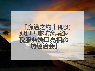 廊洽之约丨即买即退！廊坊离境退税服务端口亮相廊坊经洽会