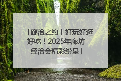 廊洽之约丨好玩好逛好吃！2025年廊坊经洽会精彩纷呈
