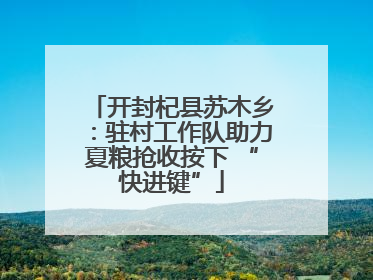 开封杞县苏木乡：驻村工作队助力夏粮抢收按下 “快进键”