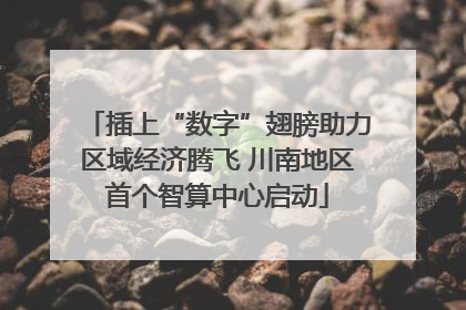 插上“数字”翅膀助力区域经济腾飞 川南地区首个智算中心启动