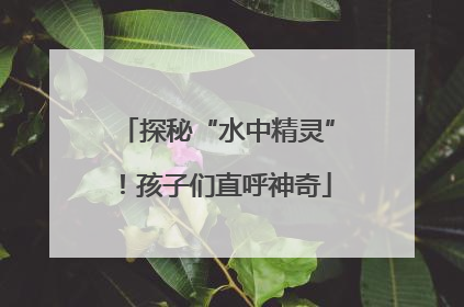 探秘“水中精灵”！孩子们直呼神奇