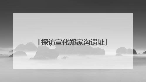 探访宣化郑家沟遗址