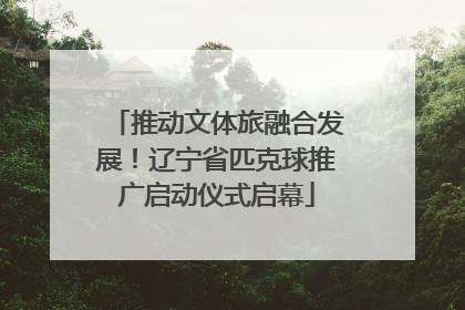 推动文体旅融合发展！辽宁省匹克球推广启动仪式启幕