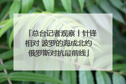 总台记者观察丨针锋相对 波罗的海成北约俄罗斯对抗最前线