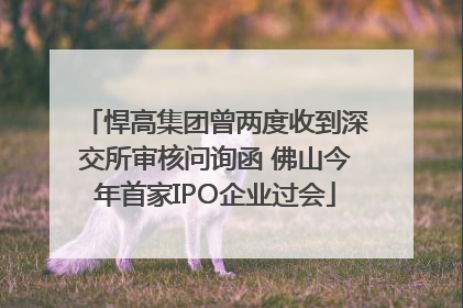 悍高集团曾两度收到深交所审核问询函 佛山今年首家IPO企业过会