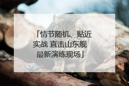 情节随机、贴近实战 直击山东舰最新演练现场