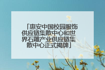 惠安中国校园服饰供应链集散中心和世界石雕产业供应链集散中心正式揭牌