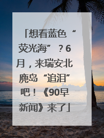 想看蓝色“荧光海”？6月，来瑞安北麂岛“追泪”吧！《90早新闻》来了