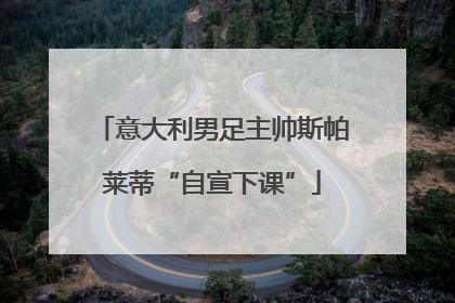 意大利男足主帅斯帕莱蒂“自宣下课”