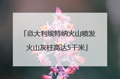 意大利埃特纳火山喷发 火山灰柱高达5千米