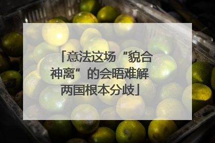 意法这场“貌合神离”的会晤难解两国根本分歧