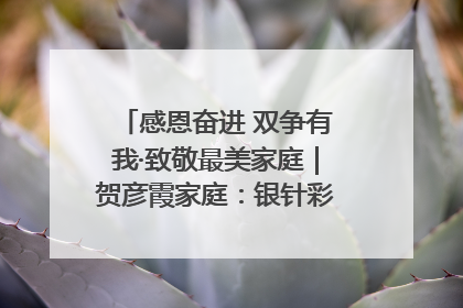 感恩奋进 双争有我·致敬最美家庭｜贺彦霞家庭：银针彩线绣出好日子