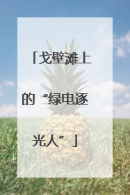 戈壁滩上的“绿电逐光人”