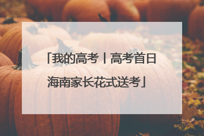 我的高考丨高考首日 海南家长花式送考