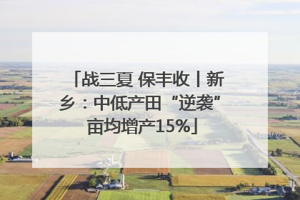 战三夏 保丰收丨新乡：中低产田“逆袭” 亩均增产15%