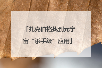 扎克伯格找到元宇宙“杀手级”应用