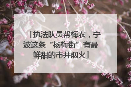 执法队员帮梅农，宁波这条“杨梅街”有最鲜甜的市井烟火