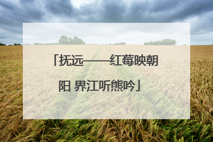 抚远——红莓映朝阳 界江听熊吟