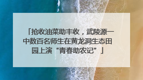 抢收油菜助丰收，武陵源一中数百名师生在黄龙洞生态田园上演“青春助农记”
