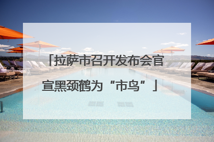 拉萨市召开发布会官宣黑颈鹤为“市鸟”